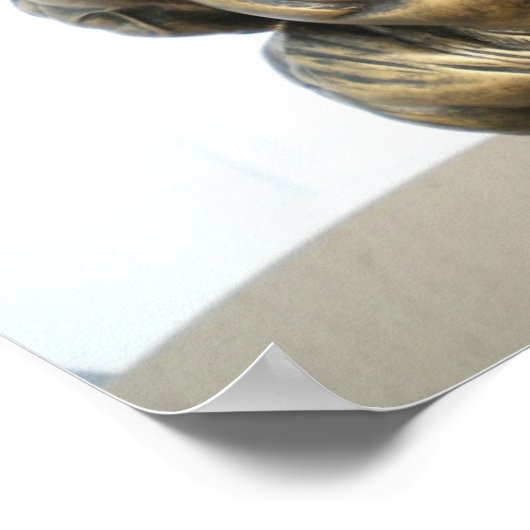 Achterste Uitzicht van Bodybuilder Poster (Hoek)