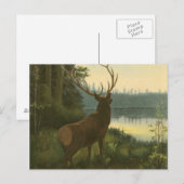 Achterste uitzicht van Elk die over een meer kijkt Briefkaart (Voorkant / Achterkant)