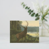 Achterste uitzicht van Elk die over een meer kijkt Briefkaart (Staand voorkant)