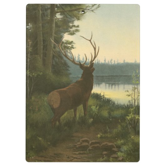 Achterste uitzicht van Elk die over een meer kijkt Klembord (Achterkant)