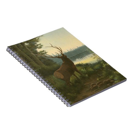 Achterste uitzicht van Elk die over een meer kijkt Notitieboek (Rechterzijde)