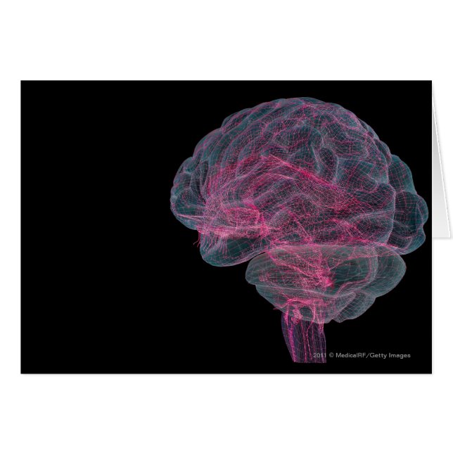 Achterste uitzicht van het menselijk brein (Voorkant Horizontaal)