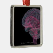 Achterste uitzicht van het menselijk brein metalen ornament (Rechts)