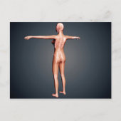 Achterste Uitzicht van het Vrouw met skeletsysteem Briefkaart (Voorkant)