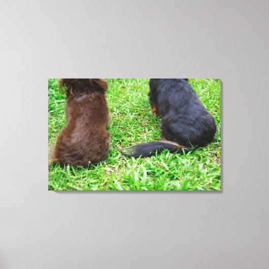 Achterste uitzicht van twee Dachshund-honden Canvas Afdruk (Voorkant)