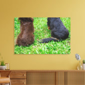 Achterste uitzicht van twee Dachshund-honden Canvas Afdruk (Insitu (Woonkamer))