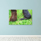 Achterste uitzicht van twee Dachshund-honden Canvas Afdruk (Insitu (Houten vloer))