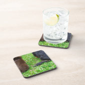 Achterste uitzicht van twee Dachshund-honden Drankjes Onderzetter (Rechterzijde)