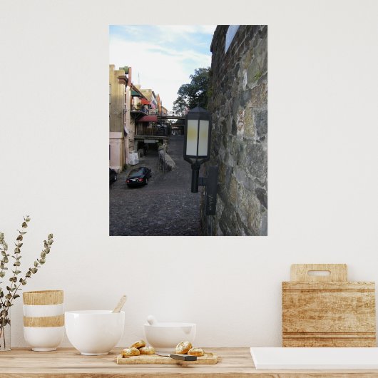 Achterstraat Savannah Poster (Keuken)