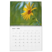 Achtertuin Beauty Kalender (Mar 2026)