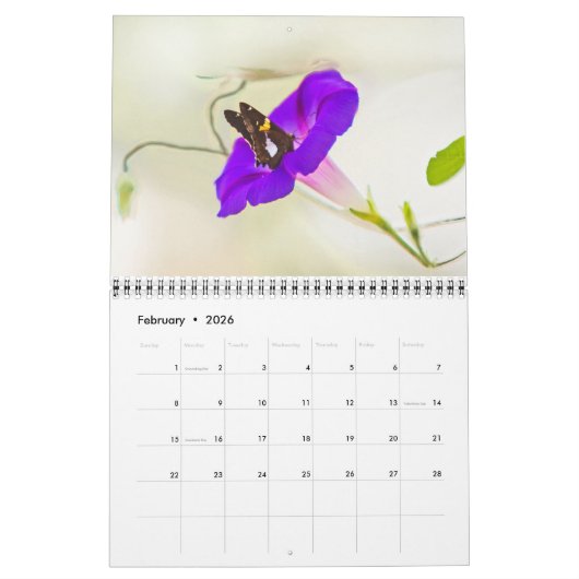 Achtertuin Beauty Kalender (Feb 2026)