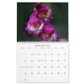 Achtertuin Beauty Wall Kalender (Feb 2027)