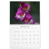 Achtertuin Beauty Wall Kalender (Feb 2026)