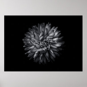 Achtertuin Bloemen In Zwart En Wit 20 Poster
