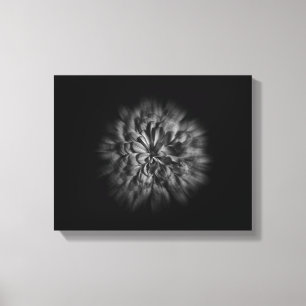 Achtertuin Bloemen In Zwart En Wit 48 Flow Canvas Afdruk