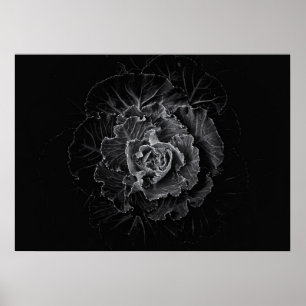 Achtertuin Bloemen In Zwart En Wit Nr 100 Poster