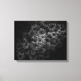 Achtertuin Bloemen In Zwart En Wit Nr 29 Canvas Afdruk