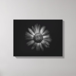 Achtertuin Bloemen In Zwart En Wit Nr 31 Canvas Afdruk