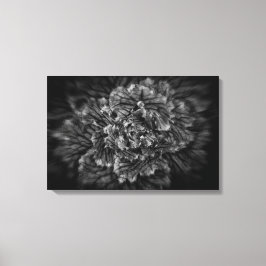 Achtertuin Bloemen In Zwart En Wit Nr 42 Flow Canvas Afdruk