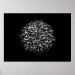 Achtertuin Bloemen In Zwart En Wit Nr 46 Poster