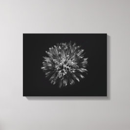 Achtertuin Bloemen In Zwart En Wit Nr 53 Canvas Afdruk
