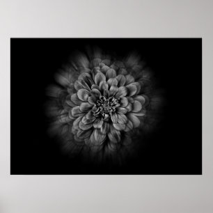 Achtertuin Bloemen In Zwart En Wit Nr 54 Flow Poster