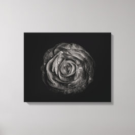 Achtertuin Bloemen In Zwart En Wit Nr 72 Canvas Afdruk