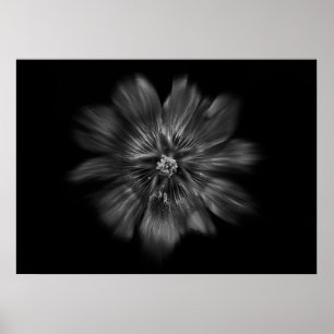 Achtertuin Bloemen in zwart-wit No 22 Flow Poster