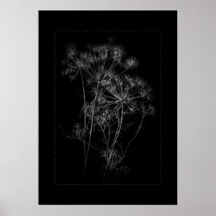 Achtertuin Bloemen in zwart-wit No 87 Border Poster