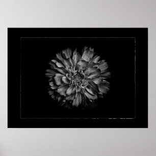 Achtertuin Bloemen In Zwart & Wit Nr 79 Rand Poster