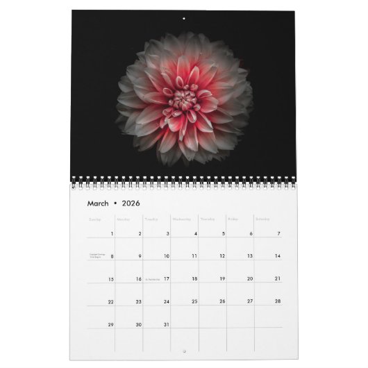 Achtertuin Bloemen No 125 Kleur Versie Kalender (Mar 2026)