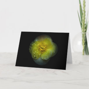 Achtertuin Bloemen No 134 Kleur Versie Kaart