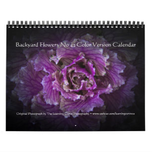 Achtertuin Bloemen No 42 Kleur Versie Kalender