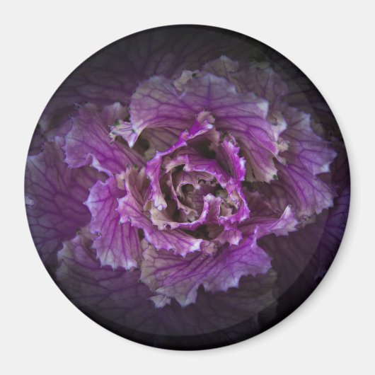 Achtertuin Bloemen No 42 Kleur Versie Magneet (Voorkant)