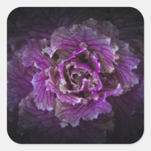 Achtertuin Bloemen No 42 Kleur Versie Vierkante Sticker
