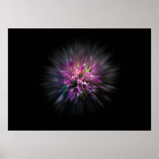 Achtertuin Bloemen No 53 Color Flow Versie Poster (Voorkant)
