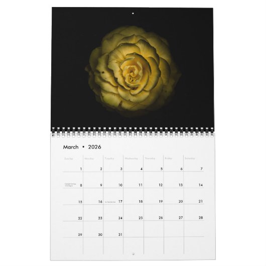 Achtertuin Bloemen No 85 Kleur Versie Kalender (Mar 2026)