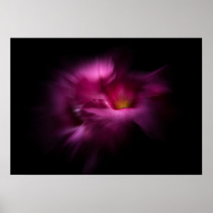 Achtertuin Bloemen Nr 2 Kleur Flow Versie Poster