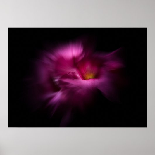 Achtertuin Bloemen Nr 2 Kleur Flow Versie Poster (Voorkant)