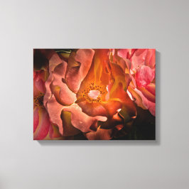 Achtertuin Bloemen Nr 40 Kleurenversie Canvas Afdruk