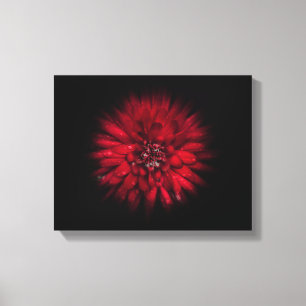 Achtertuin Bloemen Nr 45 Kleur Flow Versie Canvas Afdruk