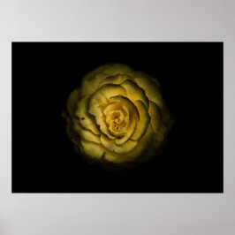 Achtertuin Bloemen Nr 85 Kleurenversie Poster
