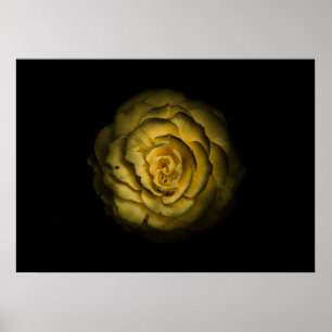 Achtertuin Bloemen Nr 85 Kleurenversie Poster