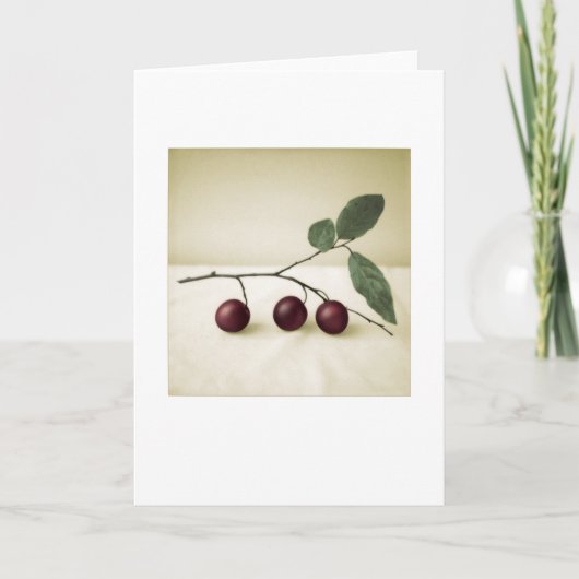 Achtertuin Cherry Pruimen Foto Schilderen Wenskaar Kaart (Voorkant)