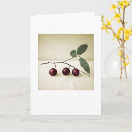Achtertuin Cherry Pruimen Foto Schilderen Wenskaar Kaart (Gele Bloem)