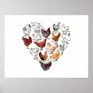 Achtertuin Chicken Love Heart Crazy Chicken Breed Poster