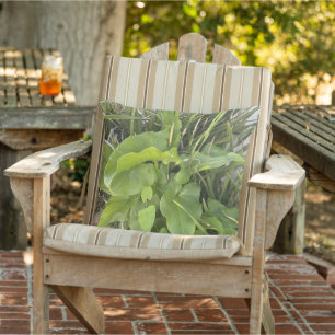 Achtertuin Garden Close-up Outdoor Natuur Foto Buitenkussen