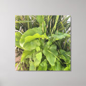 Achtertuin Garden Close-up Outdoor Natuur Foto Canvas Afdruk (Voorkant)