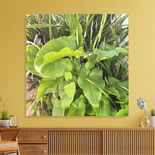 Achtertuin Garden Close-up Outdoor Natuur Foto Canvas Afdruk (Insitu (Woonkamer))
