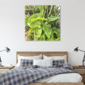 Achtertuin Garden Close-up Outdoor Natuur Foto Canvas Afdruk (Insitu (Slaapkamer))